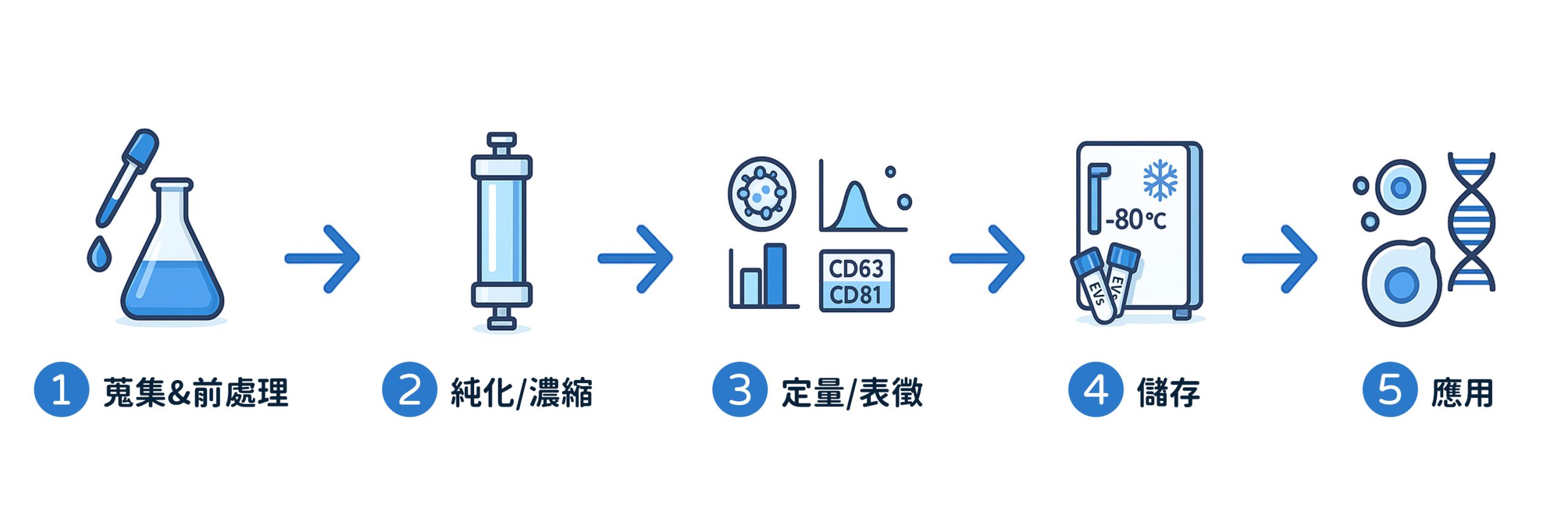 EVs 研究新手必讀：從樣品到結(jié)果的4個步驟
